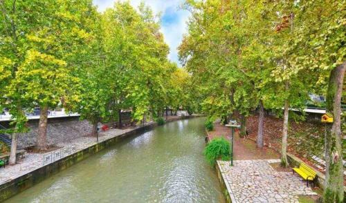 a river with trees and a bench on the side at ThaniaS'S Studio 1 in Tríkala