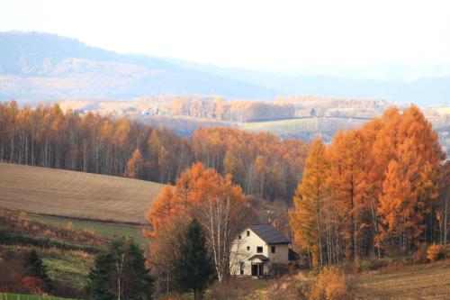 a house in the middle of a field with trees at ゲストハウスCoteau in Biei
