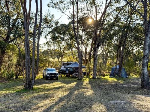 a campsite with a truck and a tent and trees at Stanthorpe Holiday Park in Severnlea