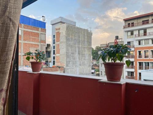 two potted plants on the ledge of a balcony at Hotel Airport Holiday in Kathmandu