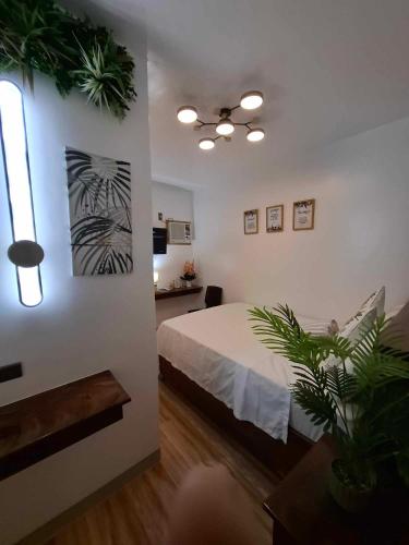 Katil atau katil-katil dalam bilik di Dreamstay Hostel