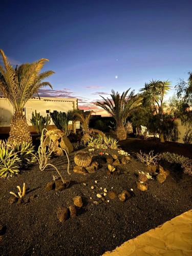 a garden with palm trees and a lizard in the dirt at Casa Ina in El Roque, El Cotillo in Roque