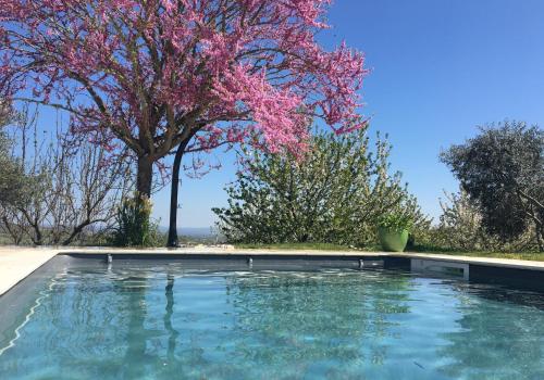 a swimming pool with a tree in the background at Aux Coteaux d'Aussac in L Honor De Cos