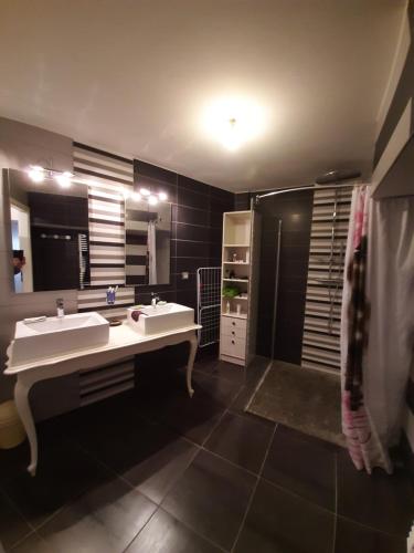 une salle de bain avec deux lavabos et un grand miroir dans l'établissement Appartement centre ville pour 6personnes, à Gérardmer