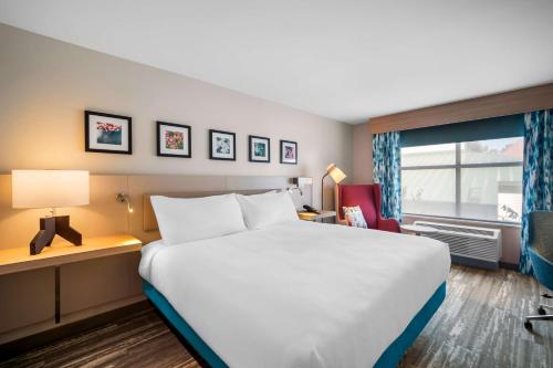 a hotel room with a large bed and a window at Hilton Garden Inn North Conway in North Conway