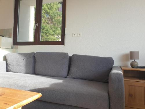 a gray couch in a living room with a window at Plein Ciel sur les pistes 40m2 - 2 chambres in Allevard
