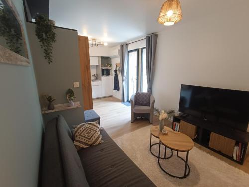 a living room with a couch and a flat screen tv at Un Appart' à la campagne in Mordelles