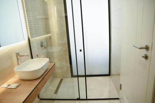 a bathroom with a sink and a glass shower at Hotel Albulena in Mamurras