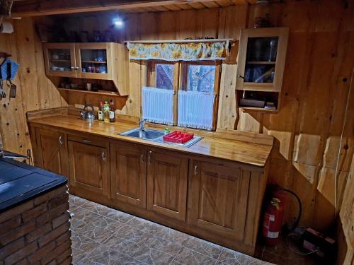 Η κουζίνα ή μικρή κουζίνα στο Slovenská Koliba