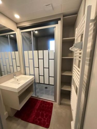 une salle de bain avec un lavabo, une douche et un miroir dans l'établissement Le Clos de Mizou 