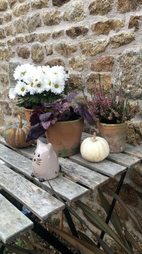 a wooden table with flowers and pumpkins on it at La Chambrette La Canopée du Mont in Saint-Georges-de-Reintembault