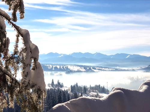 Naturlandskabet i nærheden af feriehuset
