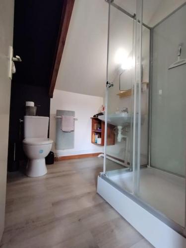 une salle de bain avec toilettes et lavabo dans l'établissement Gîte nature proche Saint Malo, à Miniac-Morvan