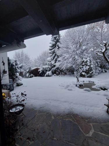 a yard covered in snow with trees and bushes at Flow In in Kitzbühel