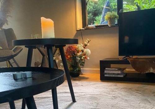 TV a/nebo společenská místnost v ubytování Eekhoorn-huisje, 4-pers bungalow, Rekem