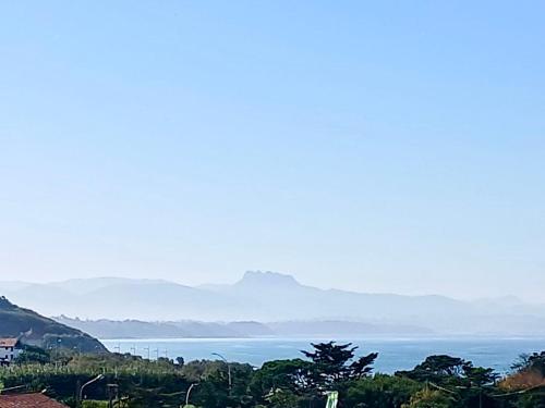 Vue sur mer et plage de Marbella