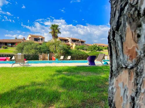 a yard with a swimming pool and a house at Résidence les Hameaux de Bocca del Oro in Porto-Vecchio