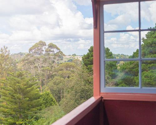 een raam met uitzicht op een bos van bomen bij Katoomba Mountain Lodge in Katoomba