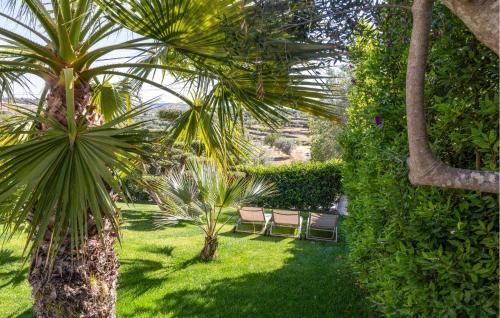 a garden with two chairs and palm trees at Gorgeous Home In Giarratana in Giarratana