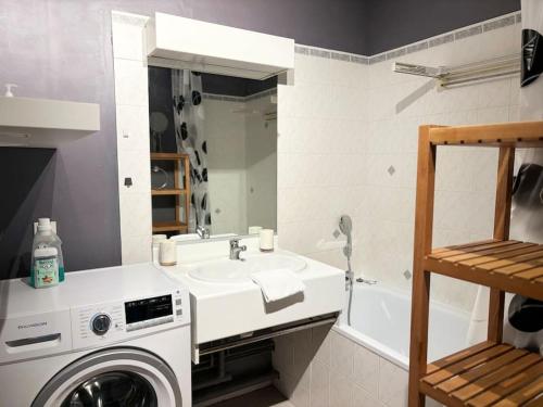 une salle de bain avec un lavabo et une machine à laver dans l'établissement Appartement 2 voyageurs à proximité des gares, à Lille