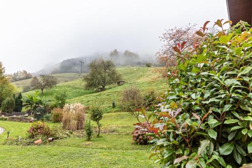 a garden with a hill in the background at Ferienwohnung Sägegasse, Typ A in Münstertal