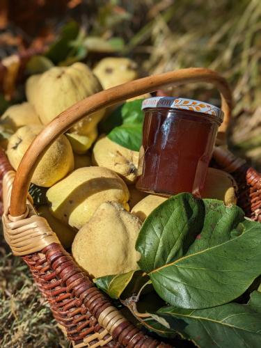 une corbeille de fruits et un pot de sirop dans l'établissement La Grange Symphorine, chambre d'hôtes de charme située entre la vallée de la Dordogne et la vallée de la Vézère, à Meyrals