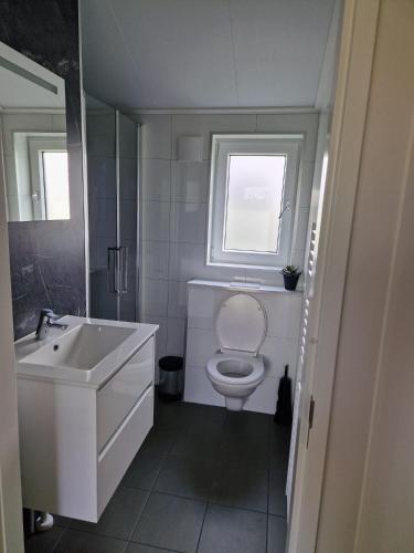 a bathroom with a toilet and a sink and a window at De Stamper - Chalet 418 in West-Graftdijk