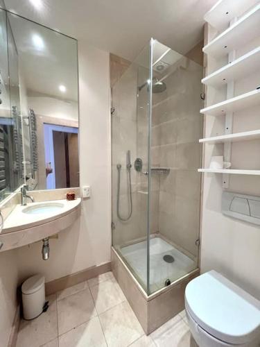une salle de bain avec une douche, des toilettes et un lavabo dans l'établissement Luxurious 2 bedrooms-View Seine River-Paris Center, à Paris
