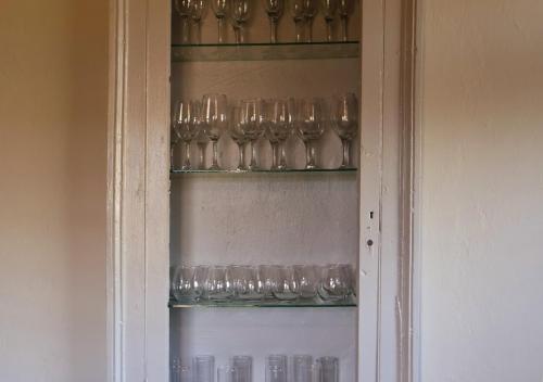 a bunch of glasses sitting on a shelf at Fossil Hills in McGregor