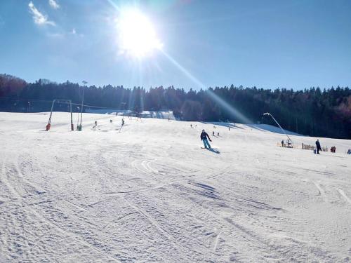a group of people skiing down a snow covered slope at Chalet Attersee - ganzes Ferienhaus, Seeblick, Kamin, Sauna in Nussdorf am Attersee