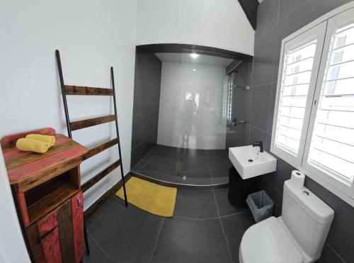 un bagno con un water bianco e un lavandino di The Beech Way Cottage a Cape St Francis