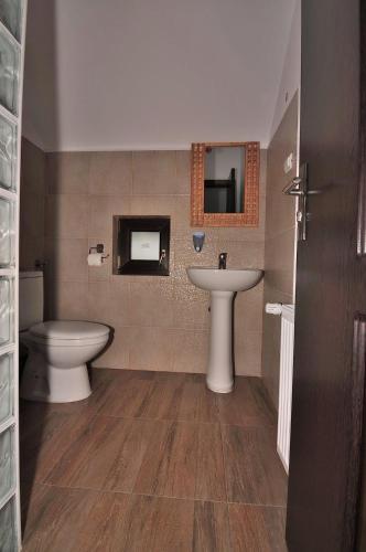 a bathroom with a toilet and a sink at Pensiunea Alex in Marga