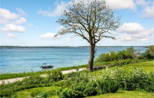 a tree and a boat on the water at 2 Bedroom Amazing Home In Aabenraa in Aabenraa