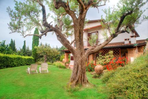 Jardín al aire libre en Sarkeep