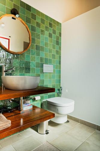 a bathroom with a sink and a toilet and a mirror at Choeiro Verde - Casa de Campo na Costa Vicentina in Brejao