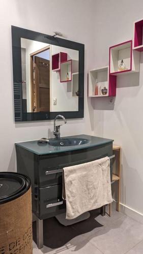 une salle de bain avec un lavabo et un miroir dans l'établissement Le Cosy sur cour - T3 Hypercentre Angers, à Angers