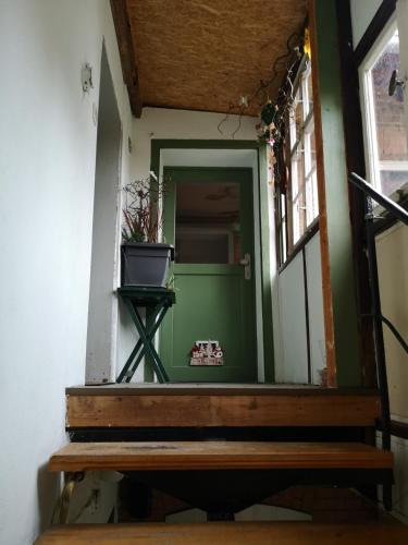 a stairway with a green door and a plant on a shelf at Apartment am Stadtturm in Freyburg
