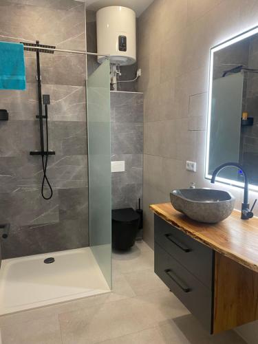 a bathroom with a sink and a glass shower at Ferienwohnung mit Fitnessstudio Top2 in Plauen