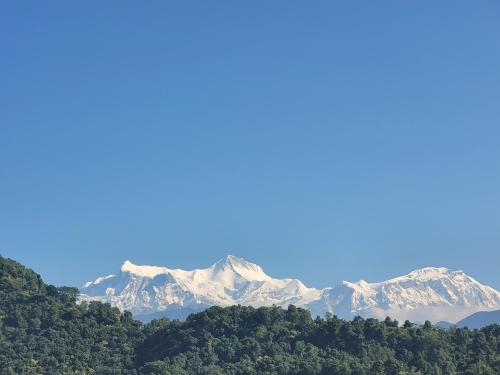 アパートメントから撮影された、または一般的な山の景色