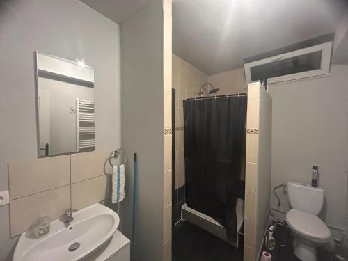 une salle de bain avec un lavabo, des toilettes et une douche dans l'établissement Chambre première étage, à Lille