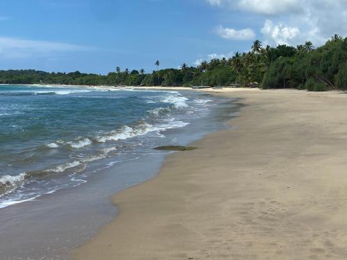 an empty beach with trees and the ocean at CJ's House at Mawella in Mawella