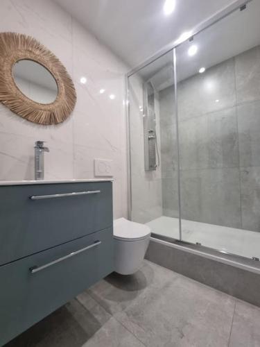 a bathroom with a toilet and a shower and a mirror at Top appart V9 in Village-Neuf
