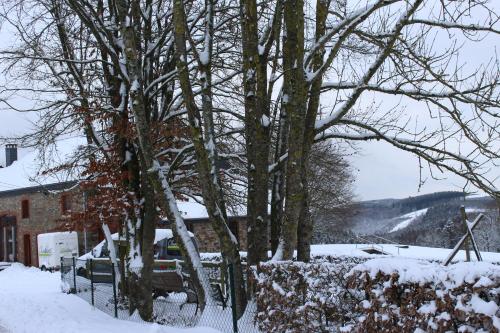 a snow covered yard with trees and a fence at Chanteloup, Maison d'hotes - Halleux in Halleux