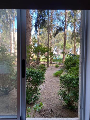 a view of a garden through a door at Acogedor y tranquilo departamento Mirasol in Algarrobo