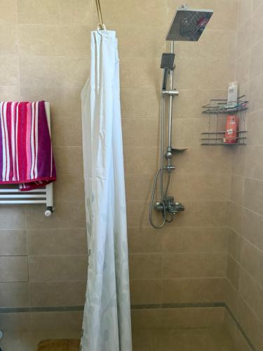 a shower with a white shower curtain in a bathroom at Nekreseli in Sagarejo