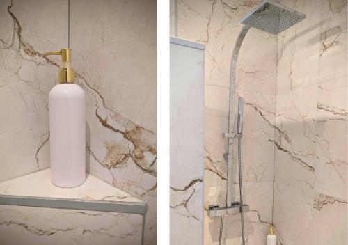 La salle de bains est pourvue d'une douche et d'une bouteille de savon. dans l'établissement Solen Évasion - L'Abalone - Vacances en Vendée, à Aizenay