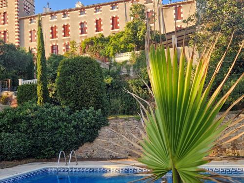 un palmier en face d'un bâtiment avec piscine dans l'établissement Chateau Ventenac, à Ventenac en Minervois