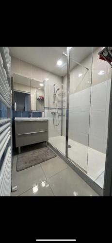 une grande salle de bain avec douche et lavabo dans l'établissement Appartement face velodrome, à Marseille