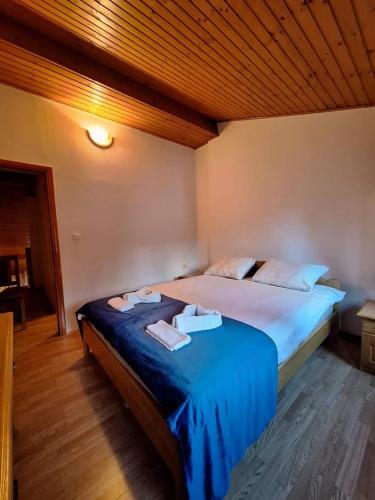 a bedroom with a large bed with blue sheets at Viktory II in Vlasic