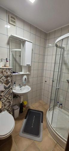 a bathroom with a shower and a sink at Viktory II in Vlasic